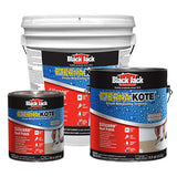 Black Jack® Eterna-Kote® Silicone Roof Patch